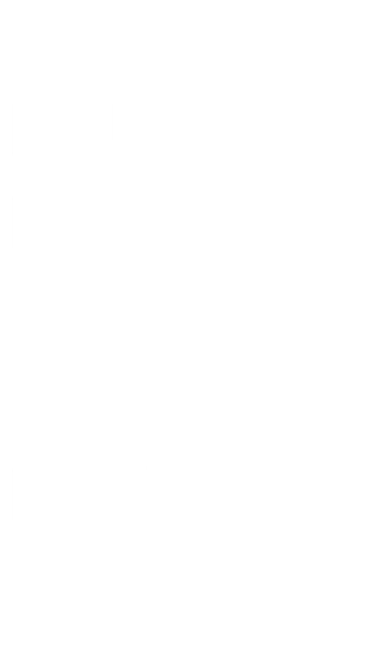 SO MUCH MORE THAN THE FLIGHT