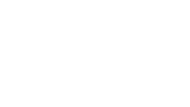 WHOLE EXPERIENCE